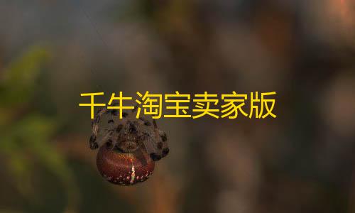 暗区突围外挂透视千牛淘宝卖家版